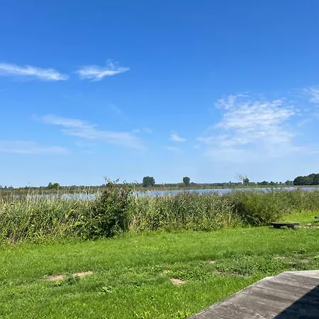 Im Teichland * Linum